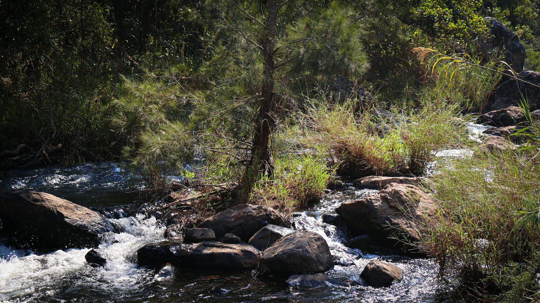 Age-Appropriate Considerations for Family Movie Selection