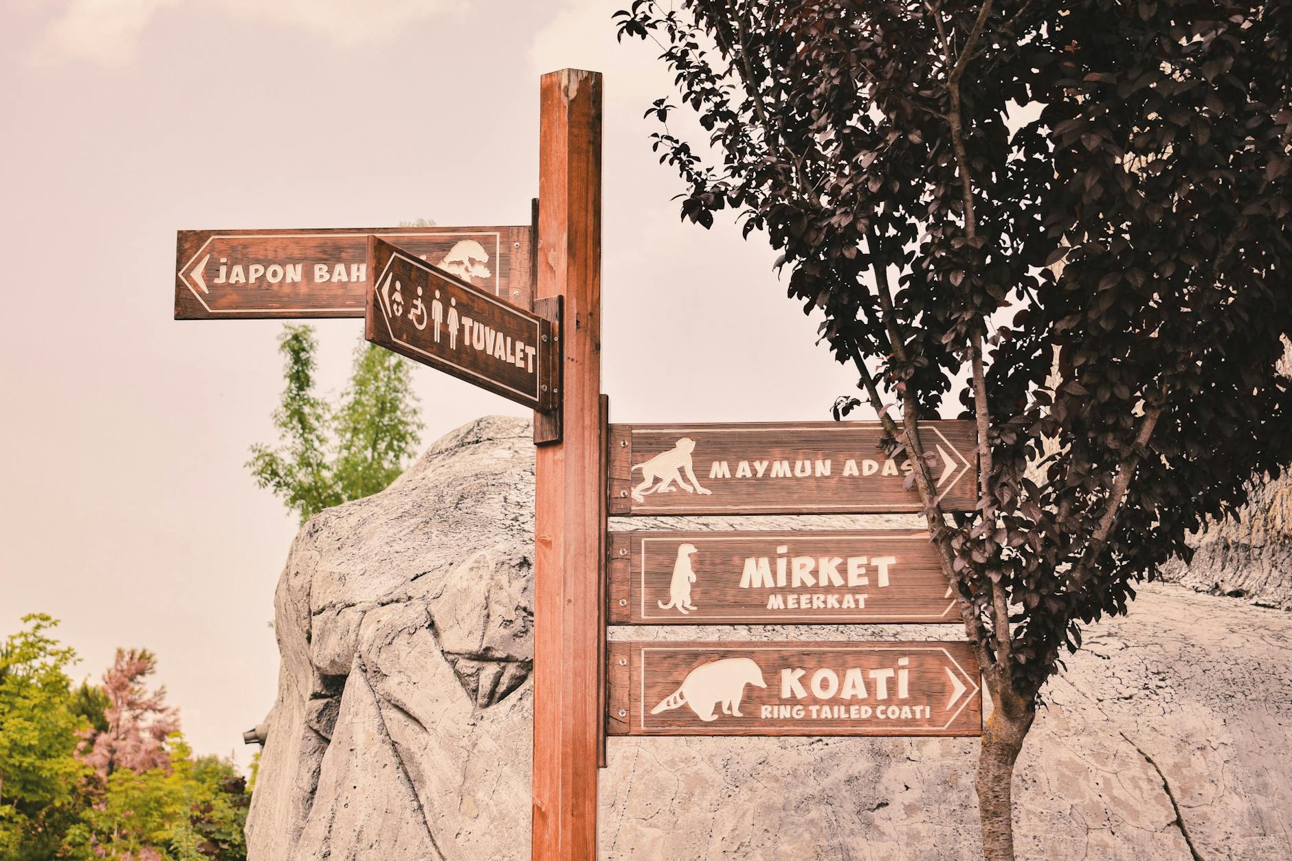 Artistic Direction in Na'vi Hair Animation and Movement Design