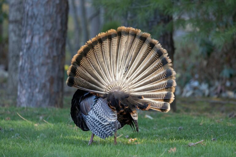 Avatar 3 Wild Fan Theories That Might Be True - Featured image