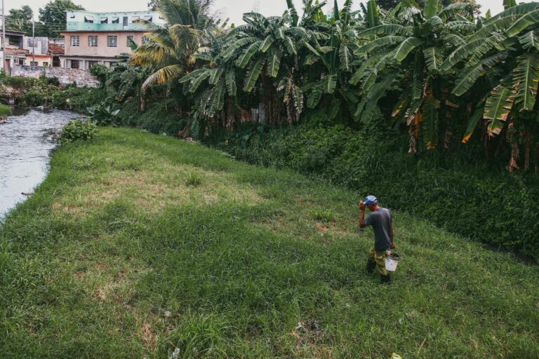 Avatar CGI Cinema vs Streaming Comparison - Featured image