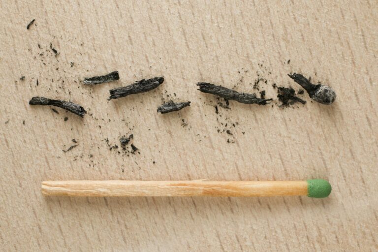 Avatar Fire and Ash Family Viewing Guide - Featured image