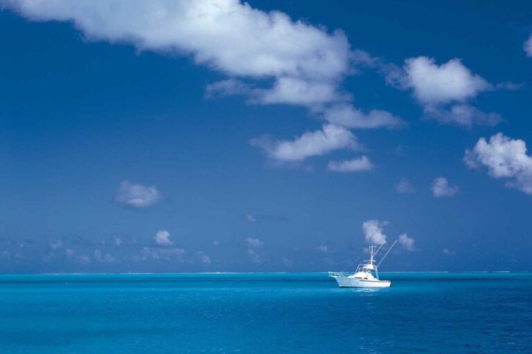 Avatar Fire and Ash Parents Guide After Watching - Featured image