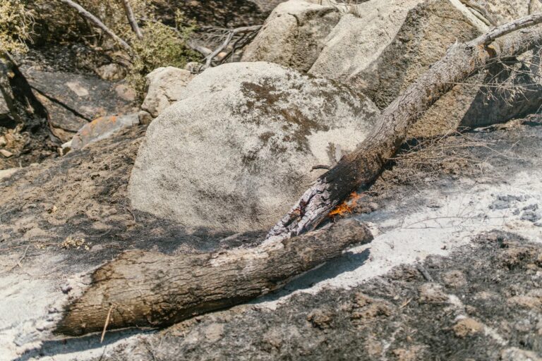 Avatar Fire and Ash Parents Guide Child Readiness - Featured image