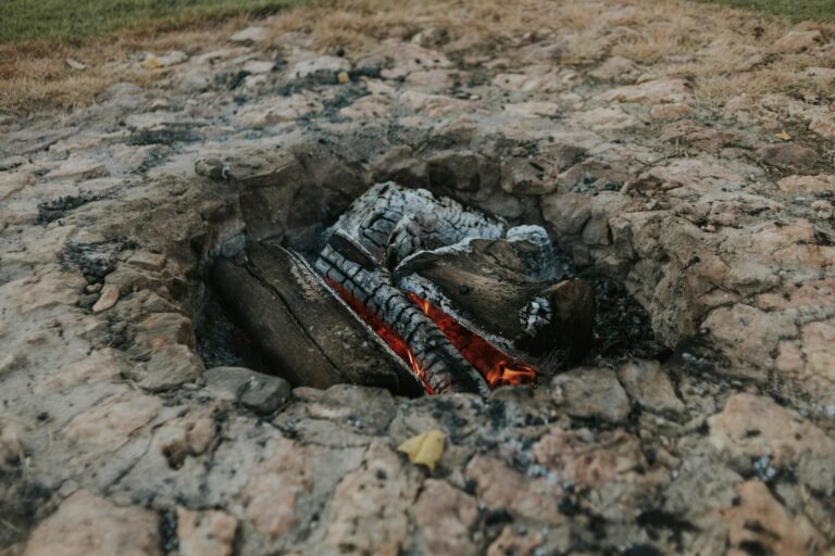 Avatar Fire and Ash Parents Guide Family Decision - Featured image