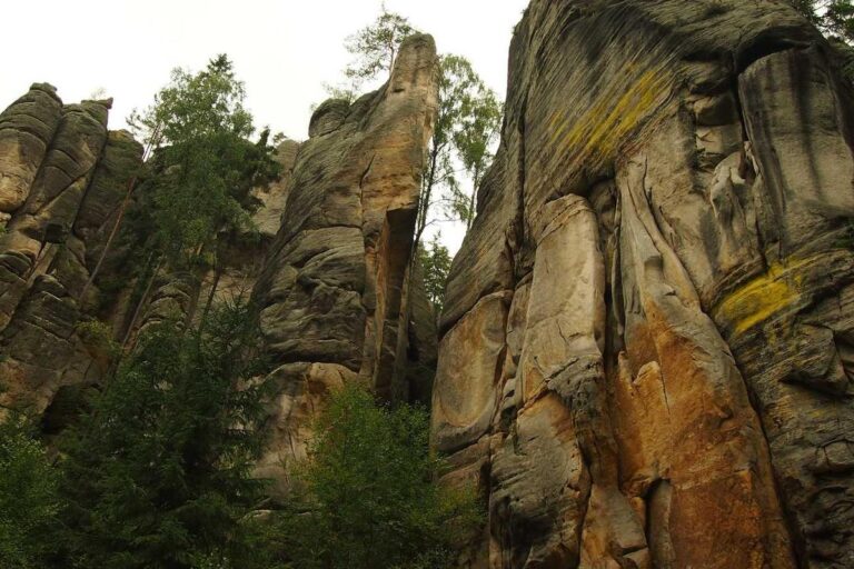 Avatar Fire and Ash Parents Guide Family Perspective - Featured image