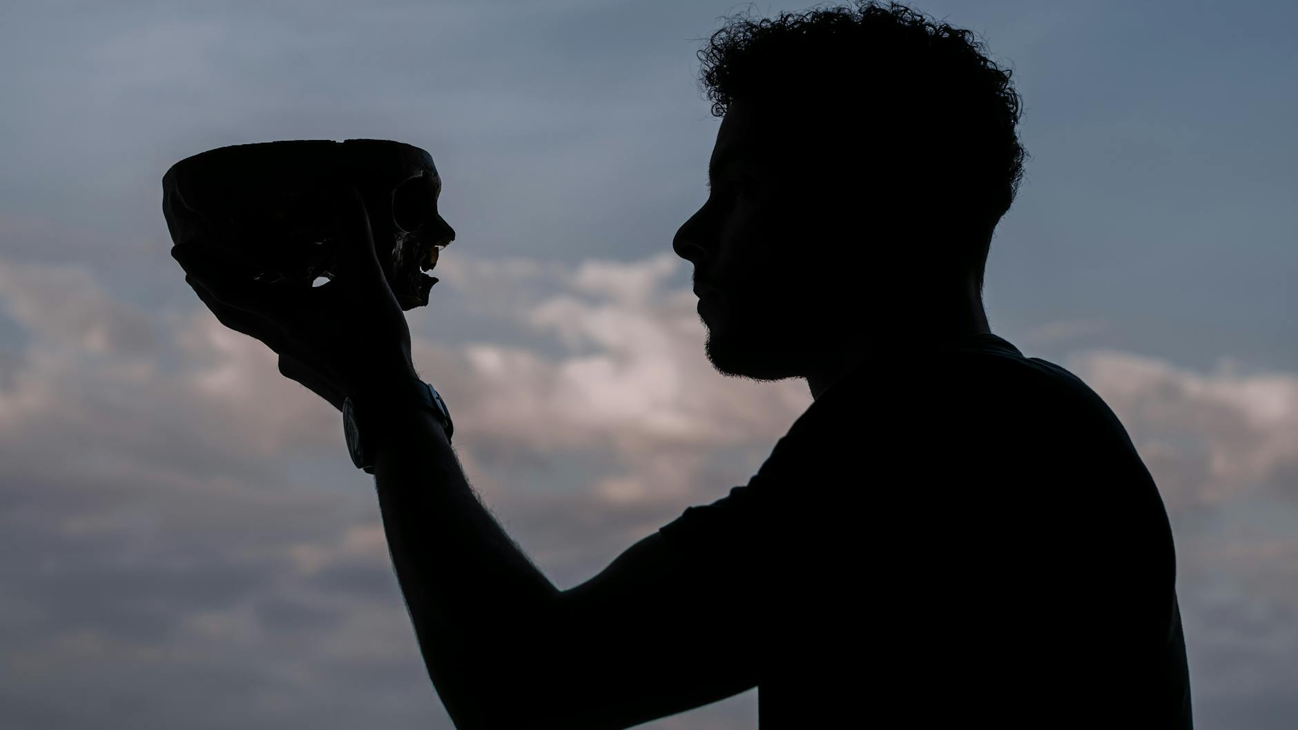 Burton's Shakespearean and Literary Adaptations on Film