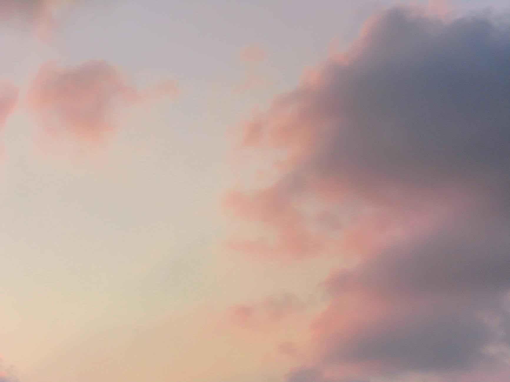 Captain Rex and the Legacy of the 501st Legion