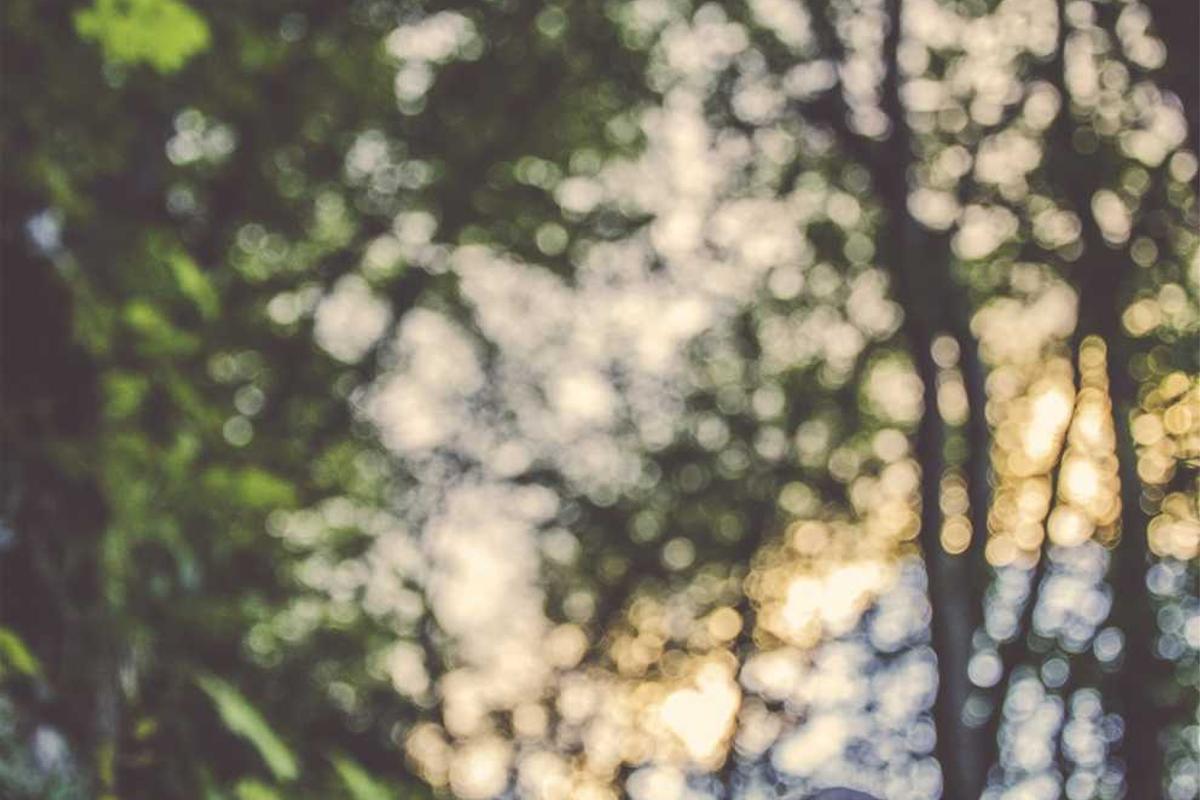 Common Criticisms and Defenses of Avatar 3's Dark Direction