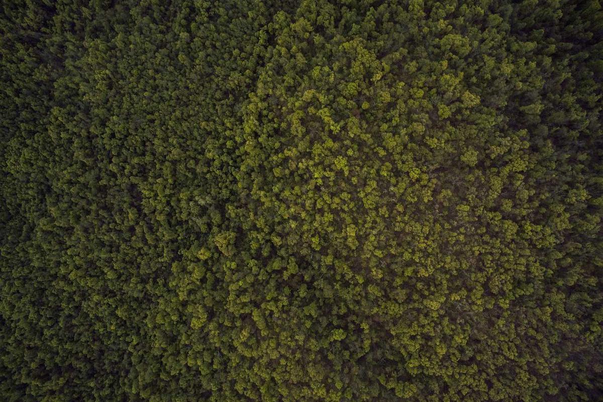 Common Parenting Concerns and Difficult Scenes to Preview