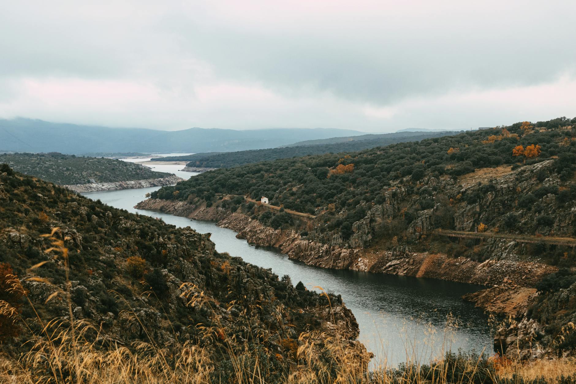 Comparing Shot Complexity Between Avatar and Avatar: The Way of Water