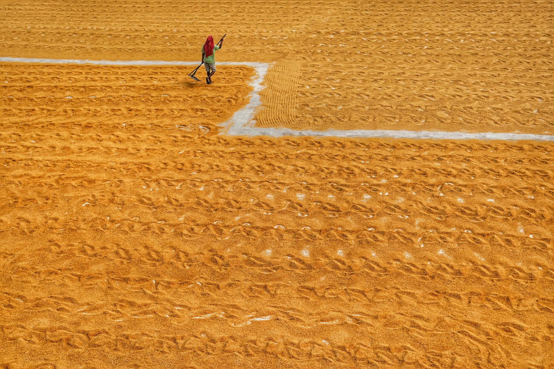 Critical Reception and Awards Success for Everything Everywhere All at Once