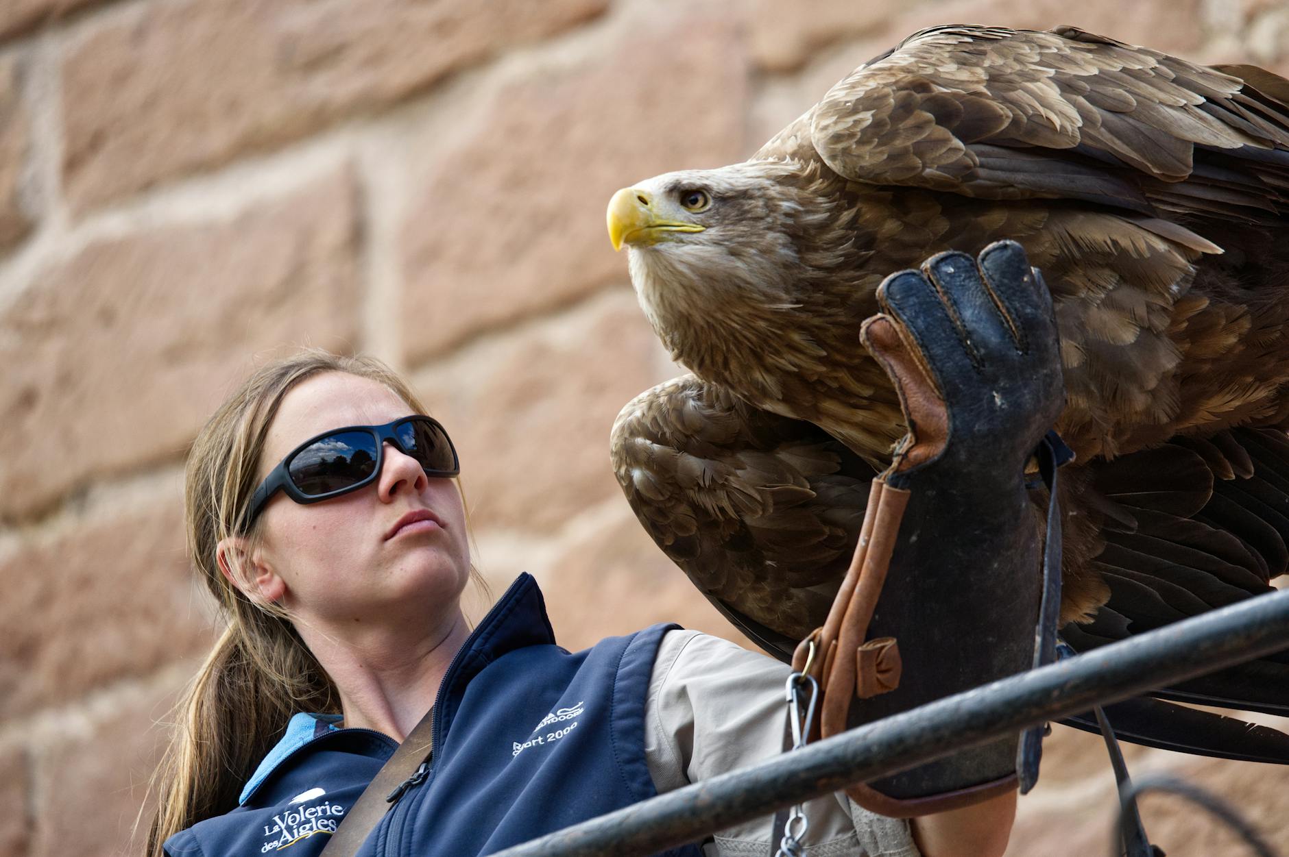 Did Avatar 3 Underperform Due to Franchise Fatigue and Diminishing Returns?