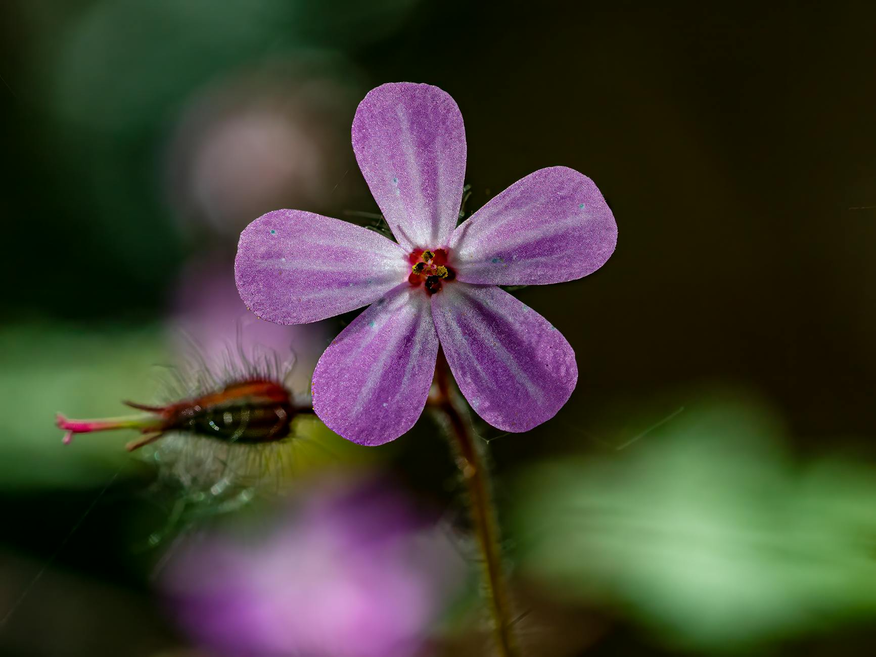 Director David Robert Mitchell's Intentions for the Ending Explained