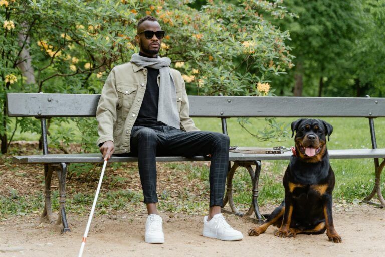 Dog Man Parents Guide Safe or Not - Featured image