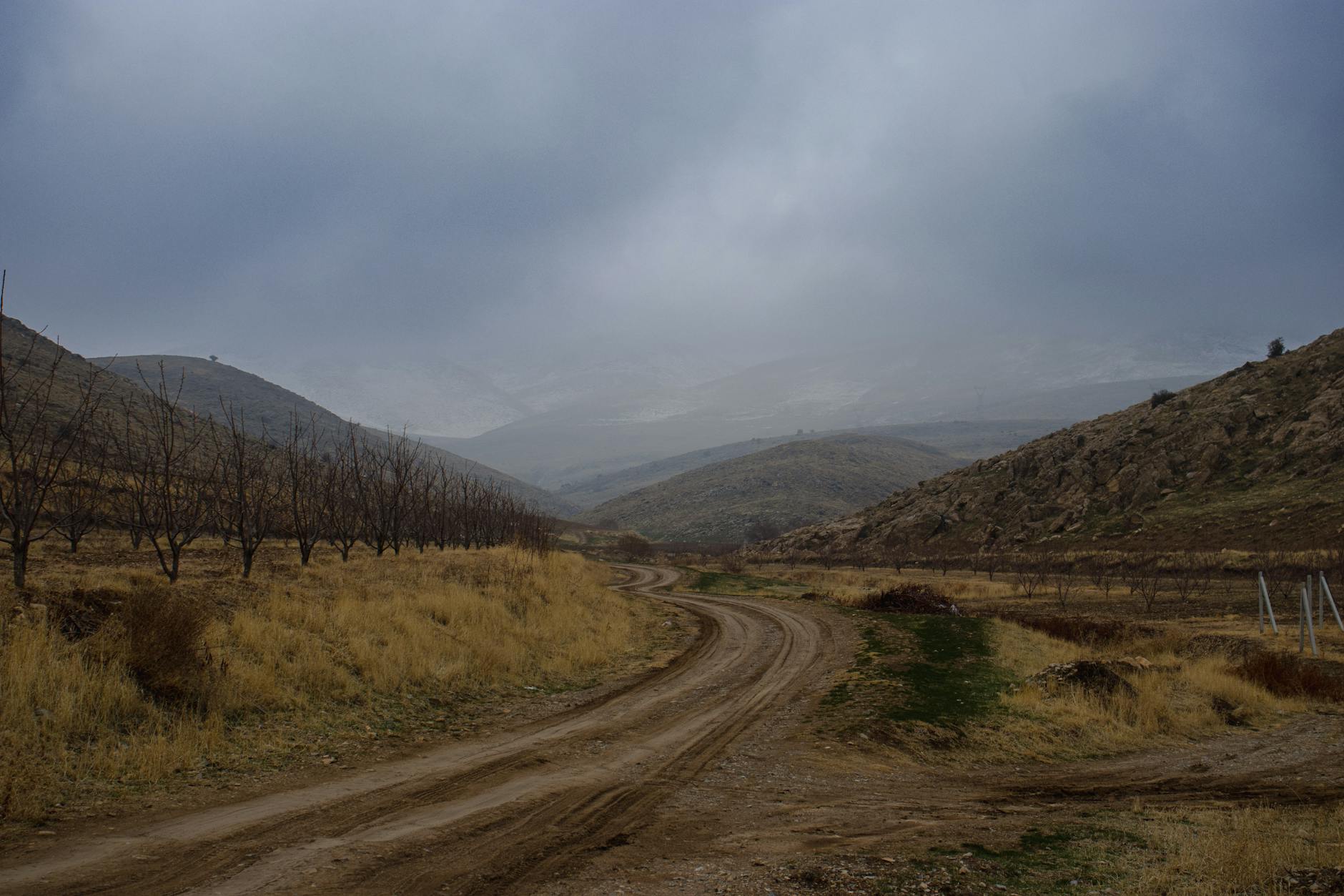 Emerging Trends in 2026 Action Cinema