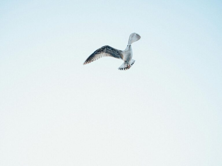 Exploring Themes of Isolation in Her (2013) - Featured image