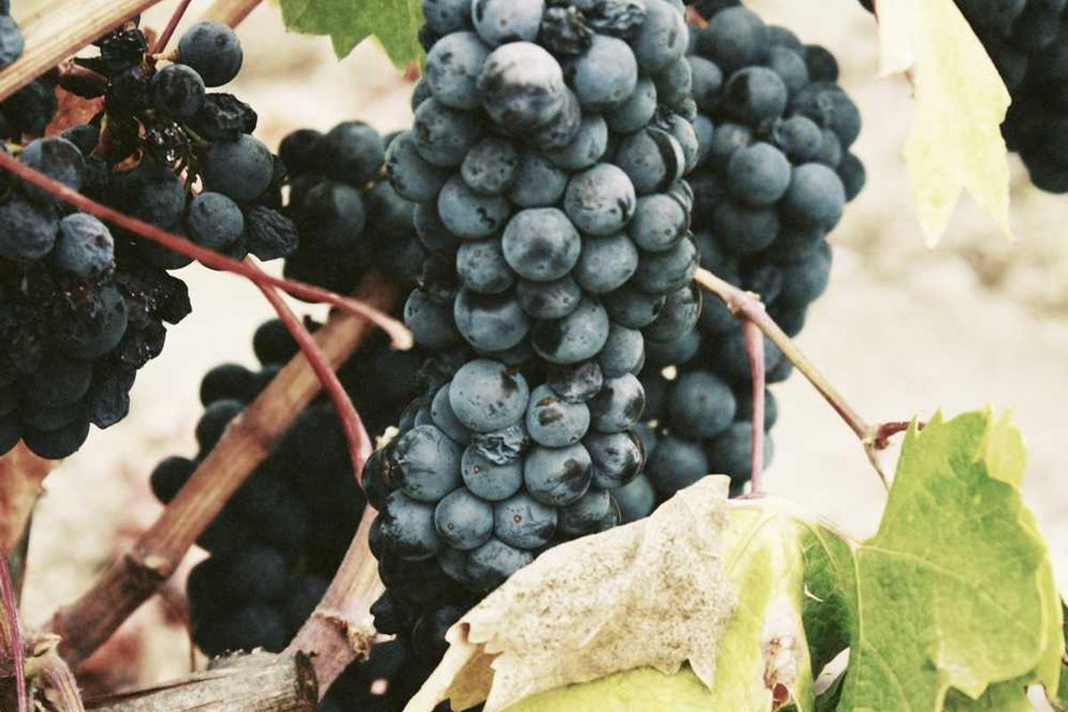 Frightening and Intense Scenes: What Younger Viewers May Find Disturbing