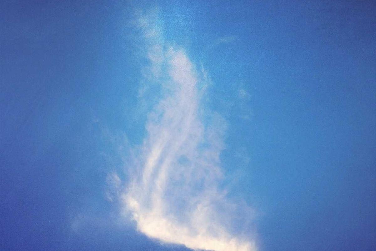 Frightening Scenes and Creature Content: What Sensitive Viewers Should Know