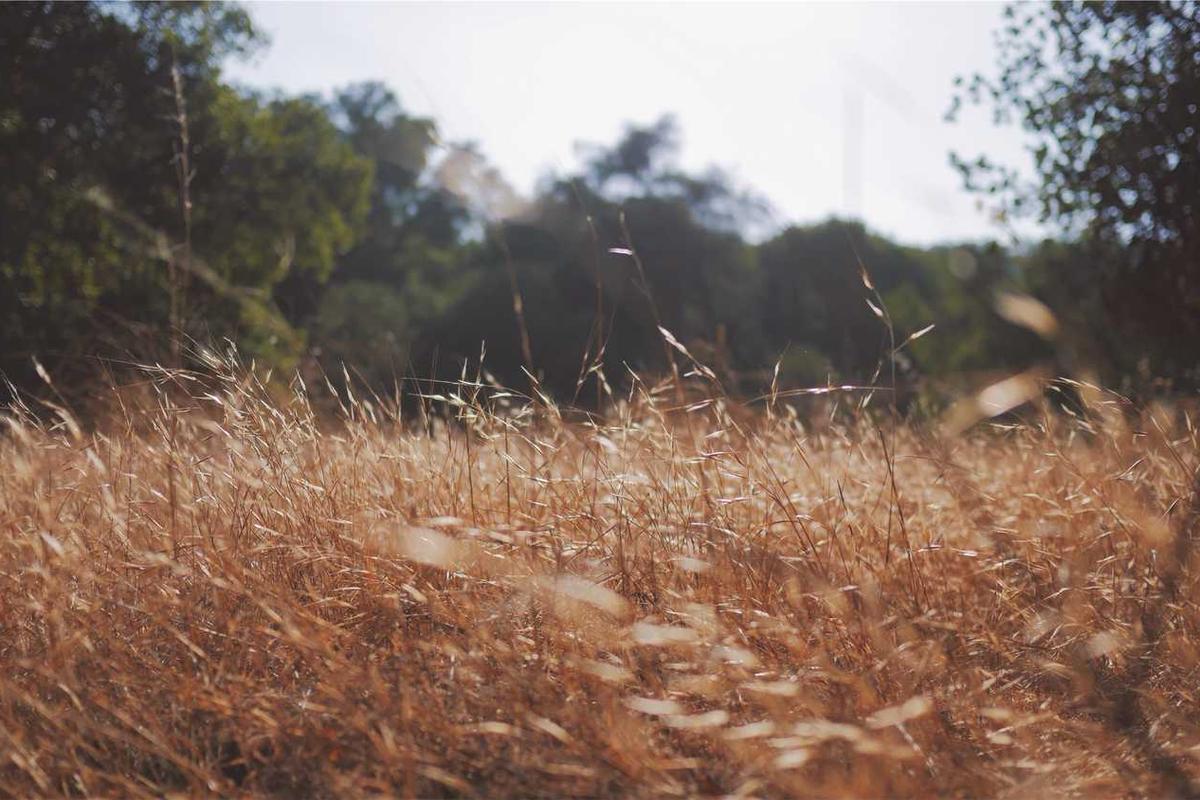 How Avatar 3's Marketing Compares to Industry Standards for Franchise Tentpoles