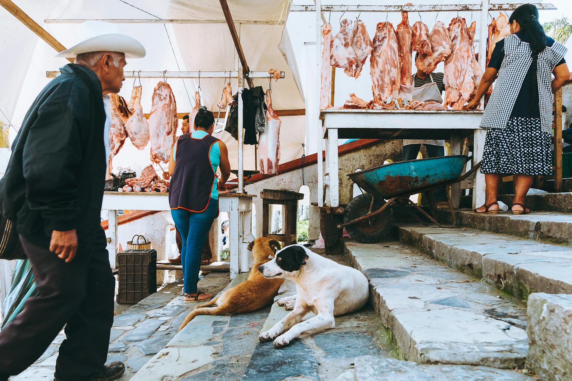 How Avatar 3's Narrative Challenges Overshadow Technical Achievement