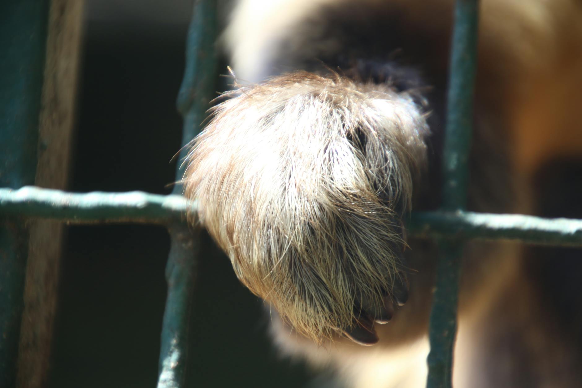 How Did Kubrick's Budgets Compare To His Contemporaries?