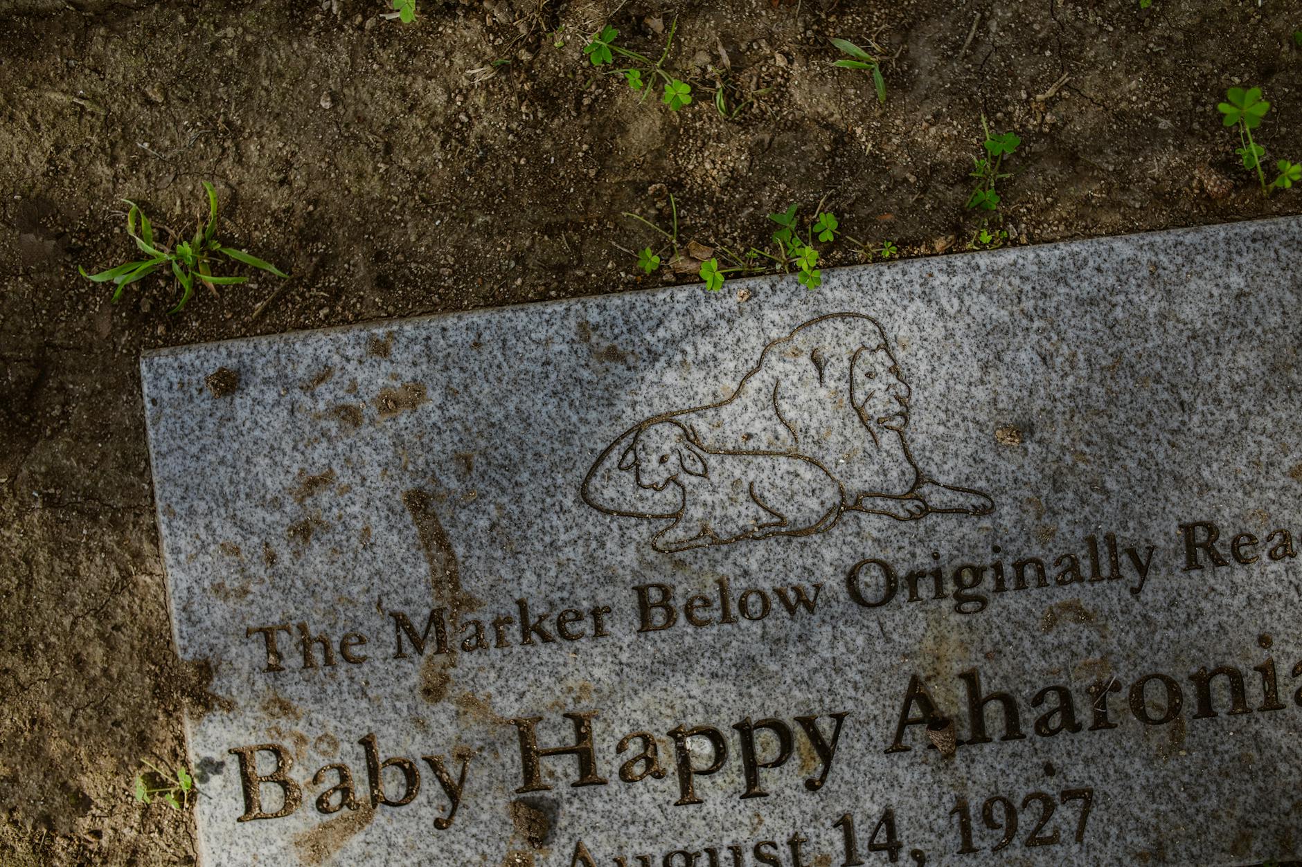 How Does Grief Function as Horror in Hereditary's Story?