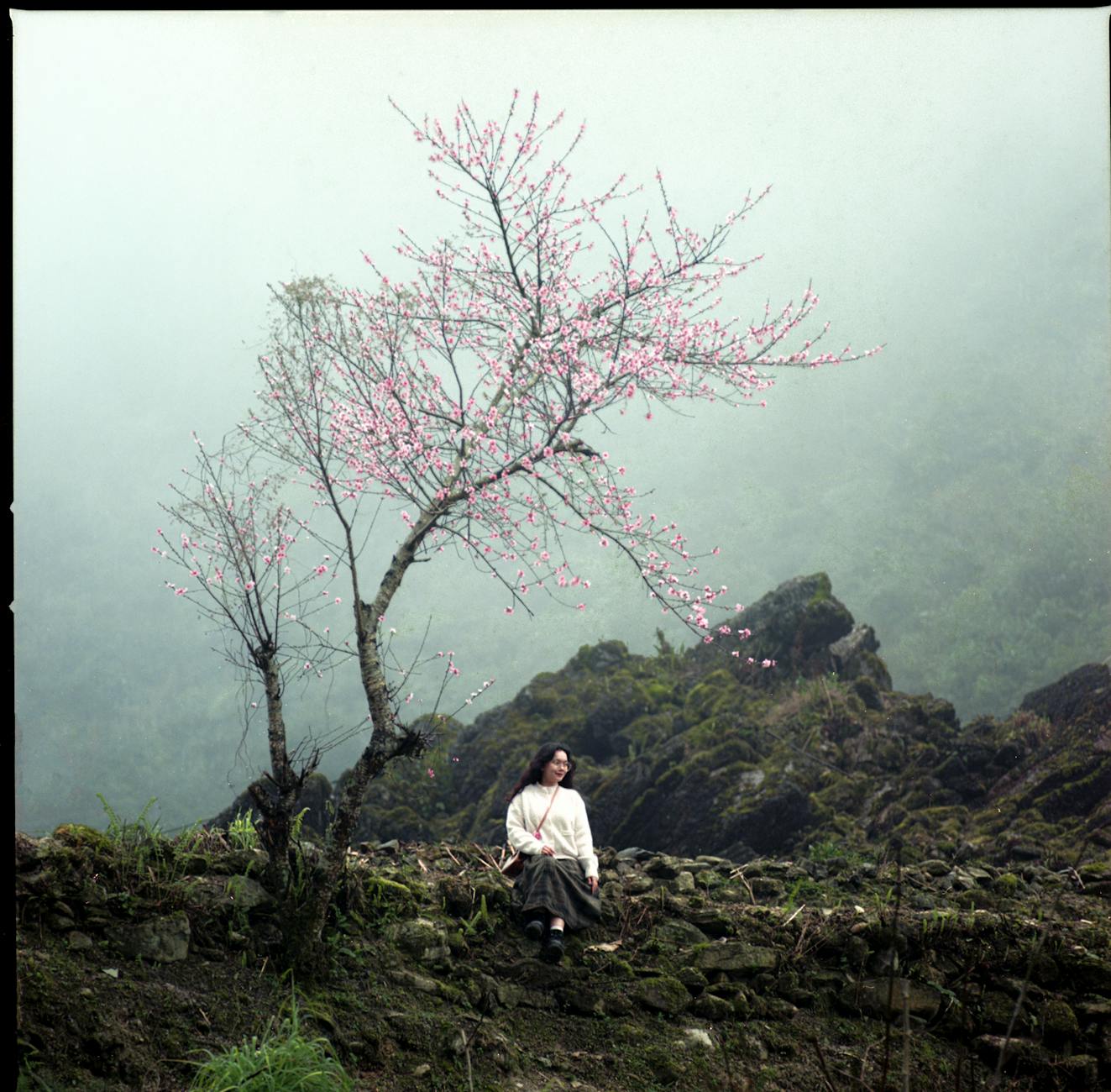 How Has Asian Cinema Influenced Hollywood Filmmaking Throughout History?