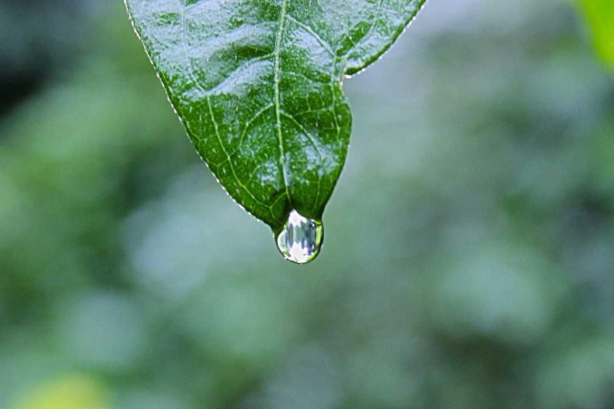 How Ne Zha 2's Rating Compares to the Original Film