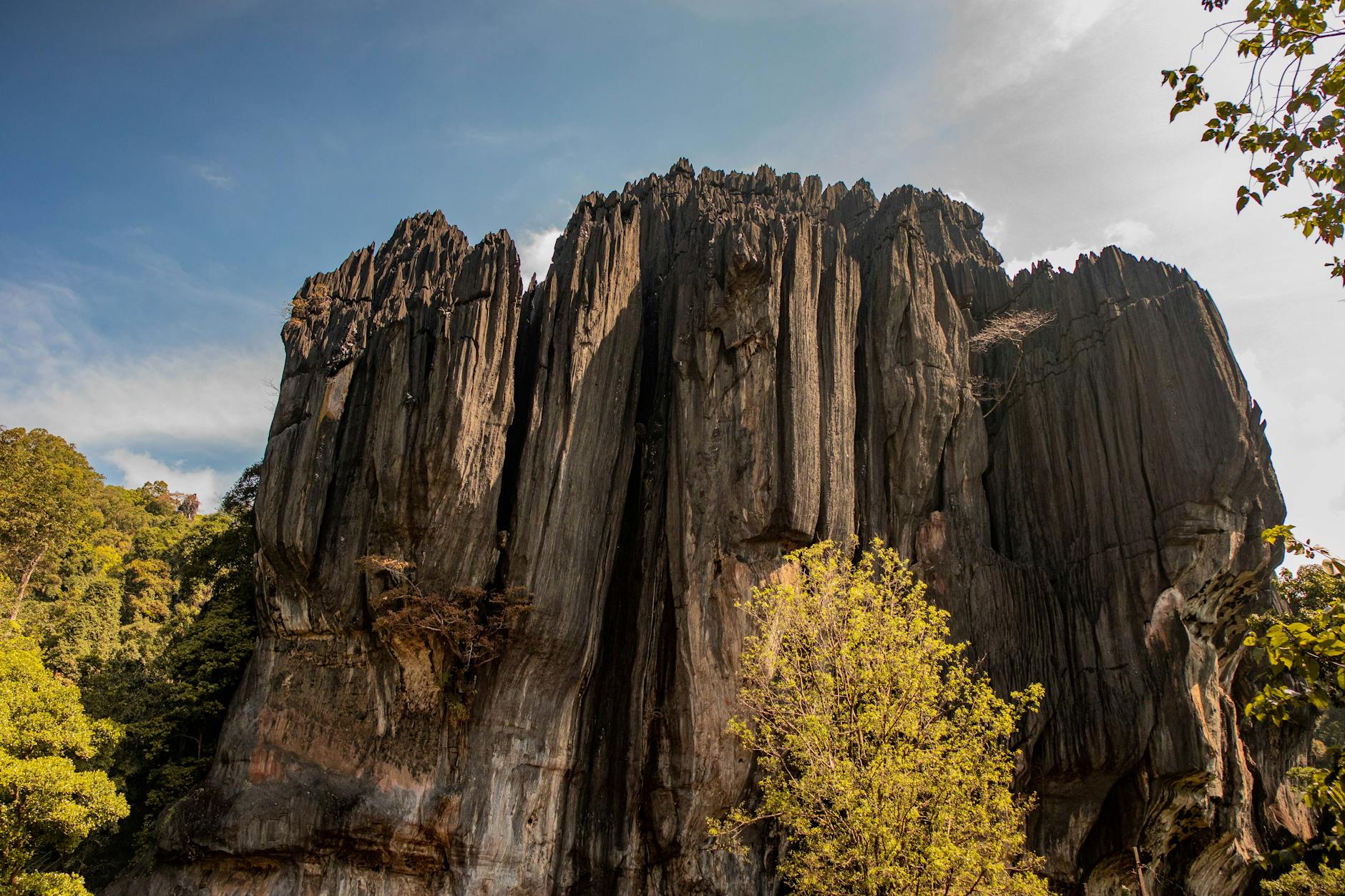 How Predator Badlands Compares to Previous Films in the Franchise