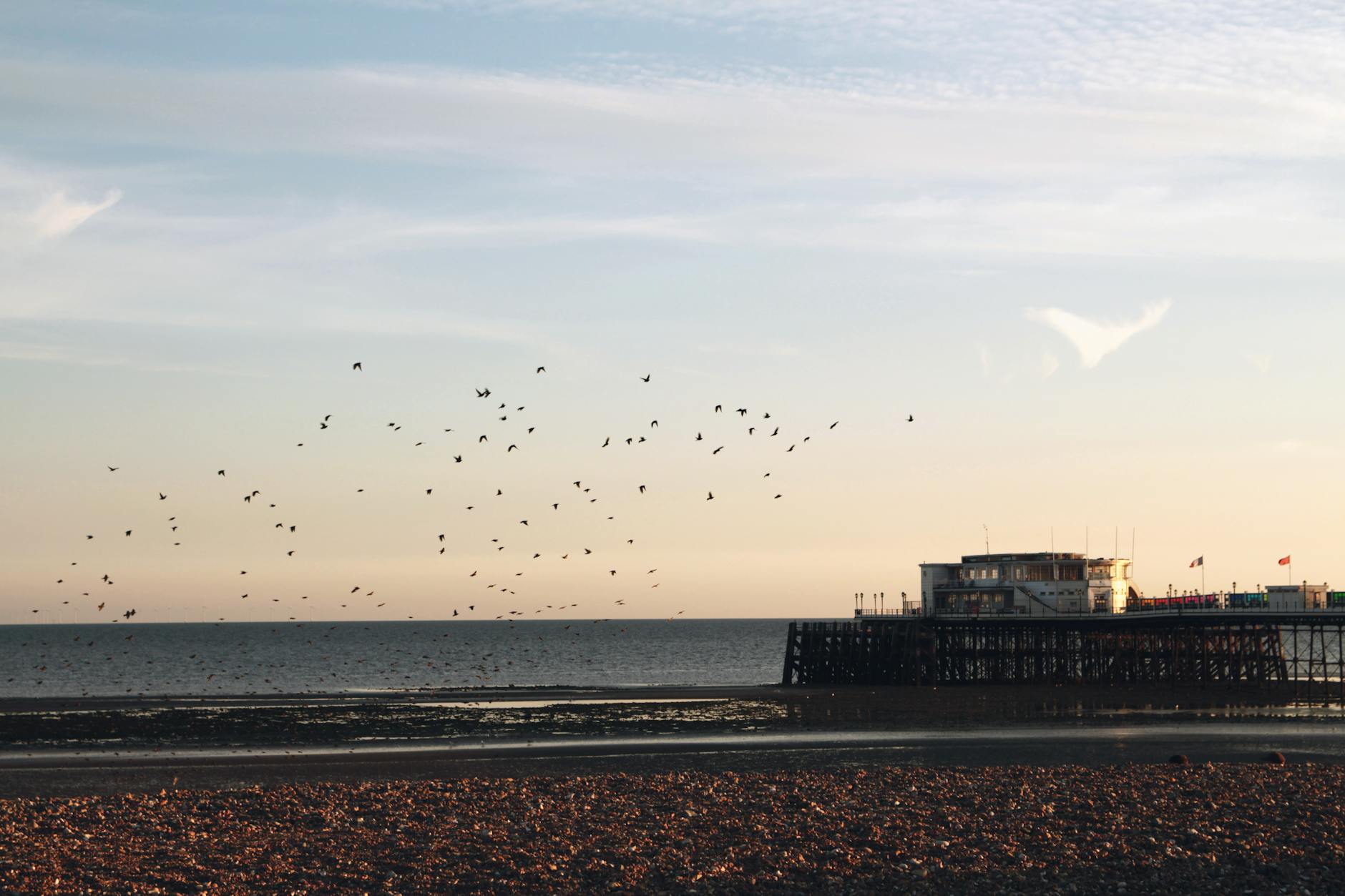 International and Independent Animated Films Worth Watching in 2025