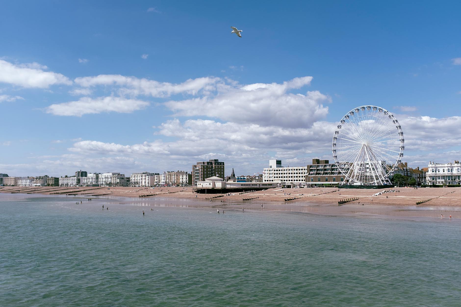 International Animated Films Worth Discovering as a Family