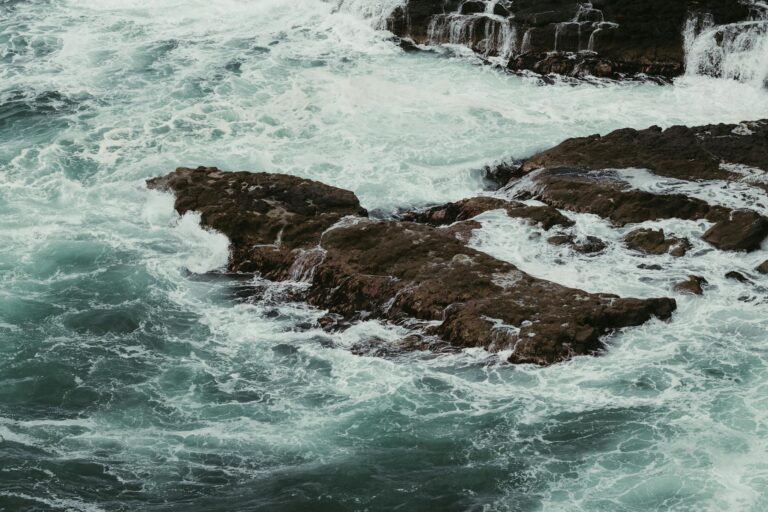 Is 12 Angry Men Overrated (Hint: Yes) - Featured image