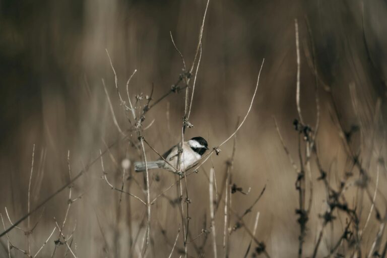 Is Avatar 3 Already Losing the Public Narrative - Featured image