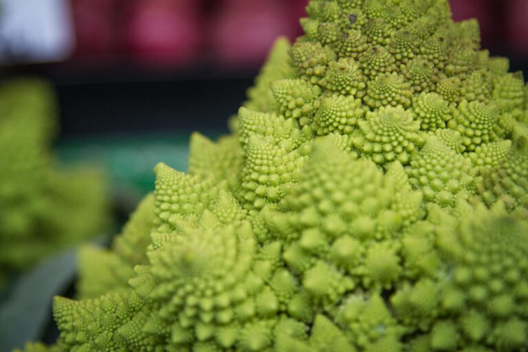 Is Avatar 3 Marketing Too Vague - Featured image