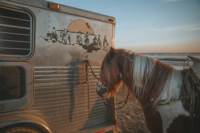 Is Avatar 3 Trailer Tone Turning People Away - Featured image