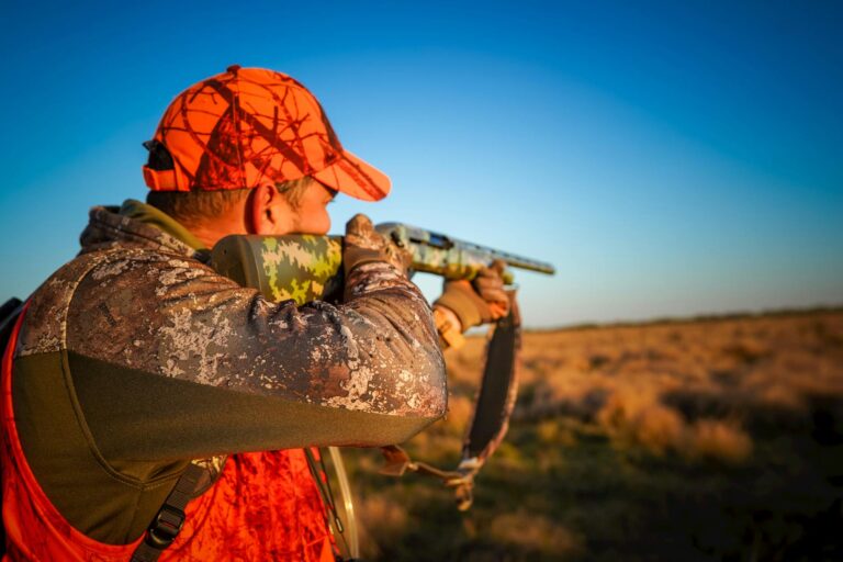 KPop Demon Hunters Action and Violence for Parents - Featured image