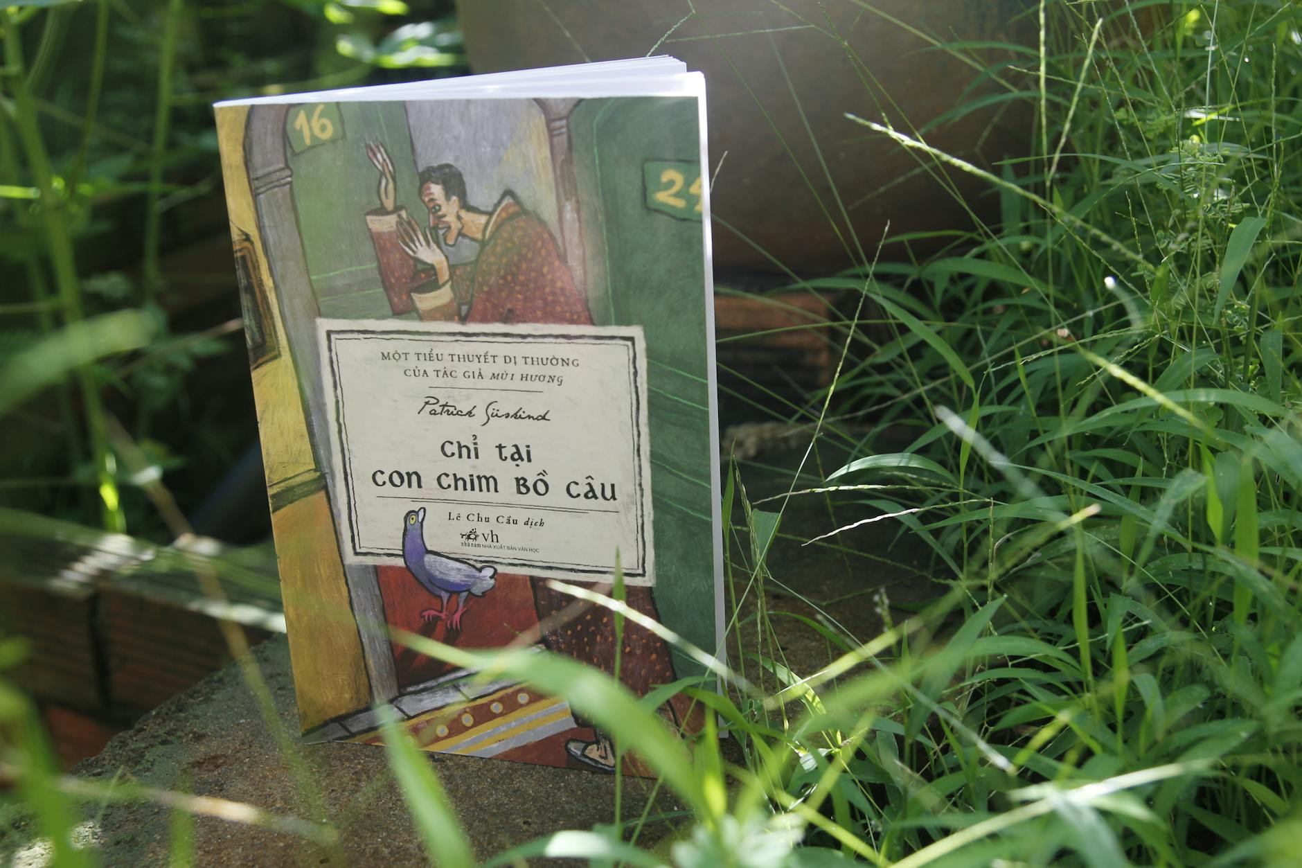 Light as Narrative Language in Avatar's Environmental Design