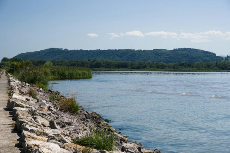 Mistress Dispeller Age Rating Explained - Featured image