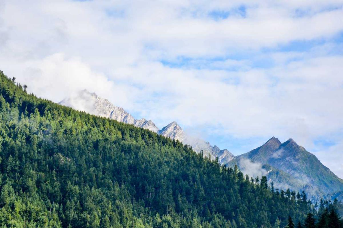 Modern Horror Movies Redefining the Halloween Genre