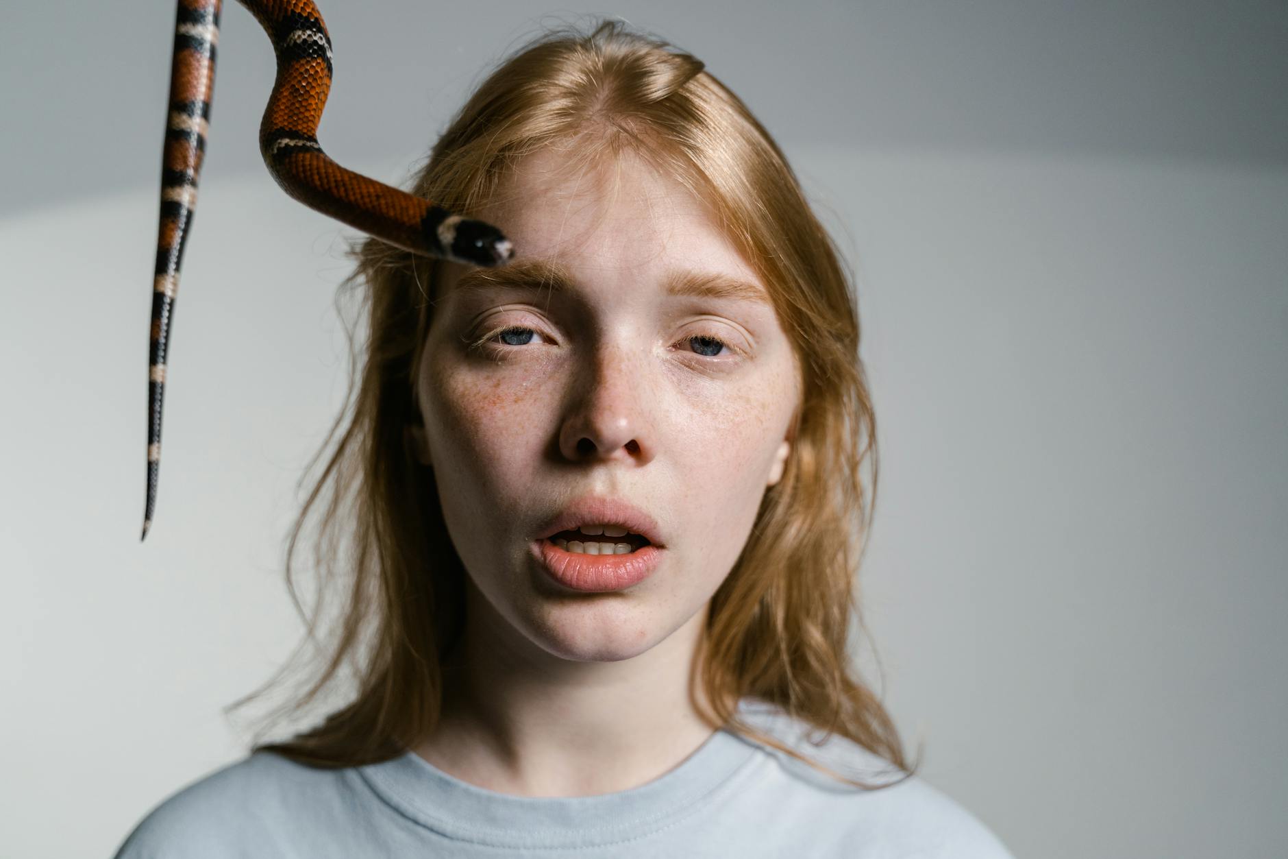 Modern Psychological Thrillers and Their Impact on Cinema