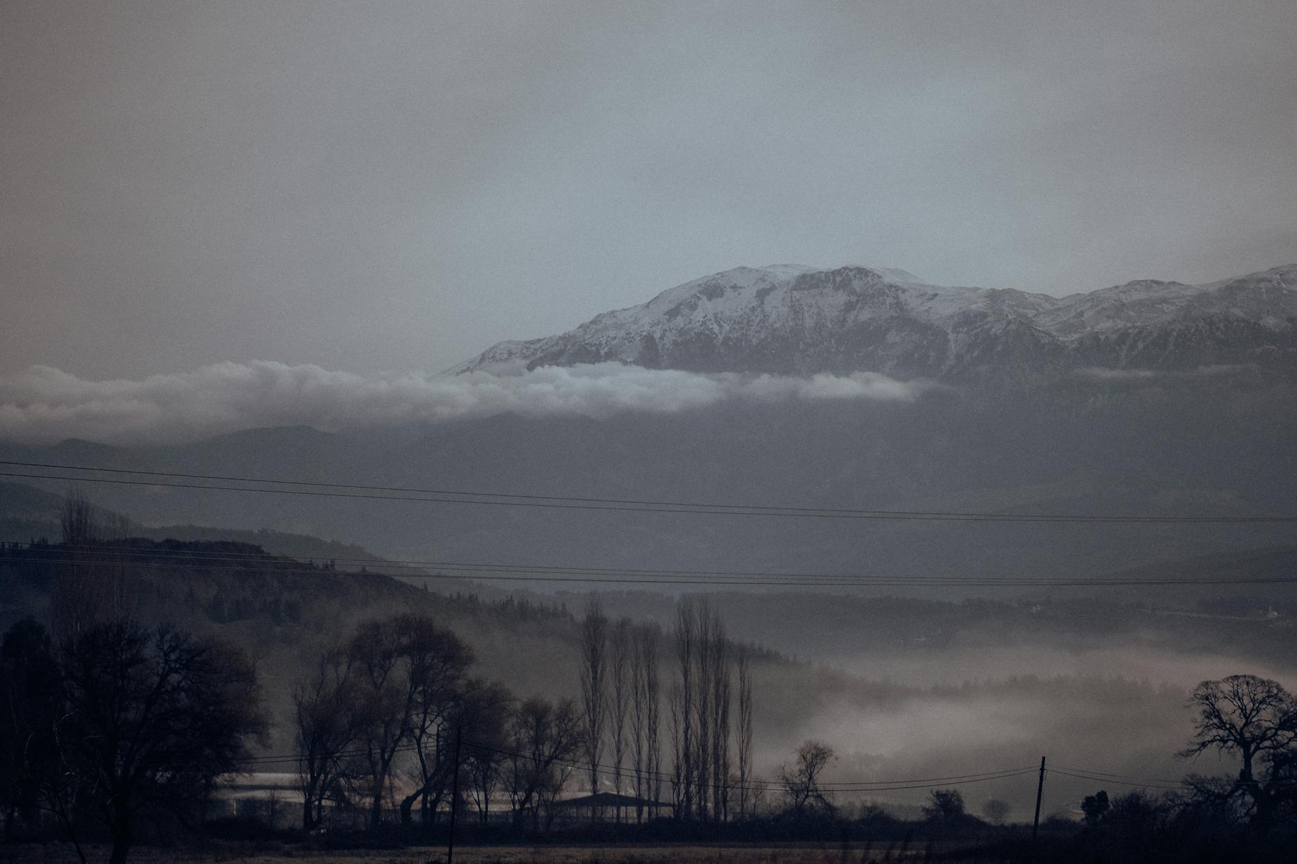 Movies That End Mid-Scene or With Abrupt Cutaways