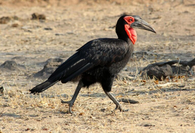 Must-Watch Documentaries Coming in 2025 - Featured image