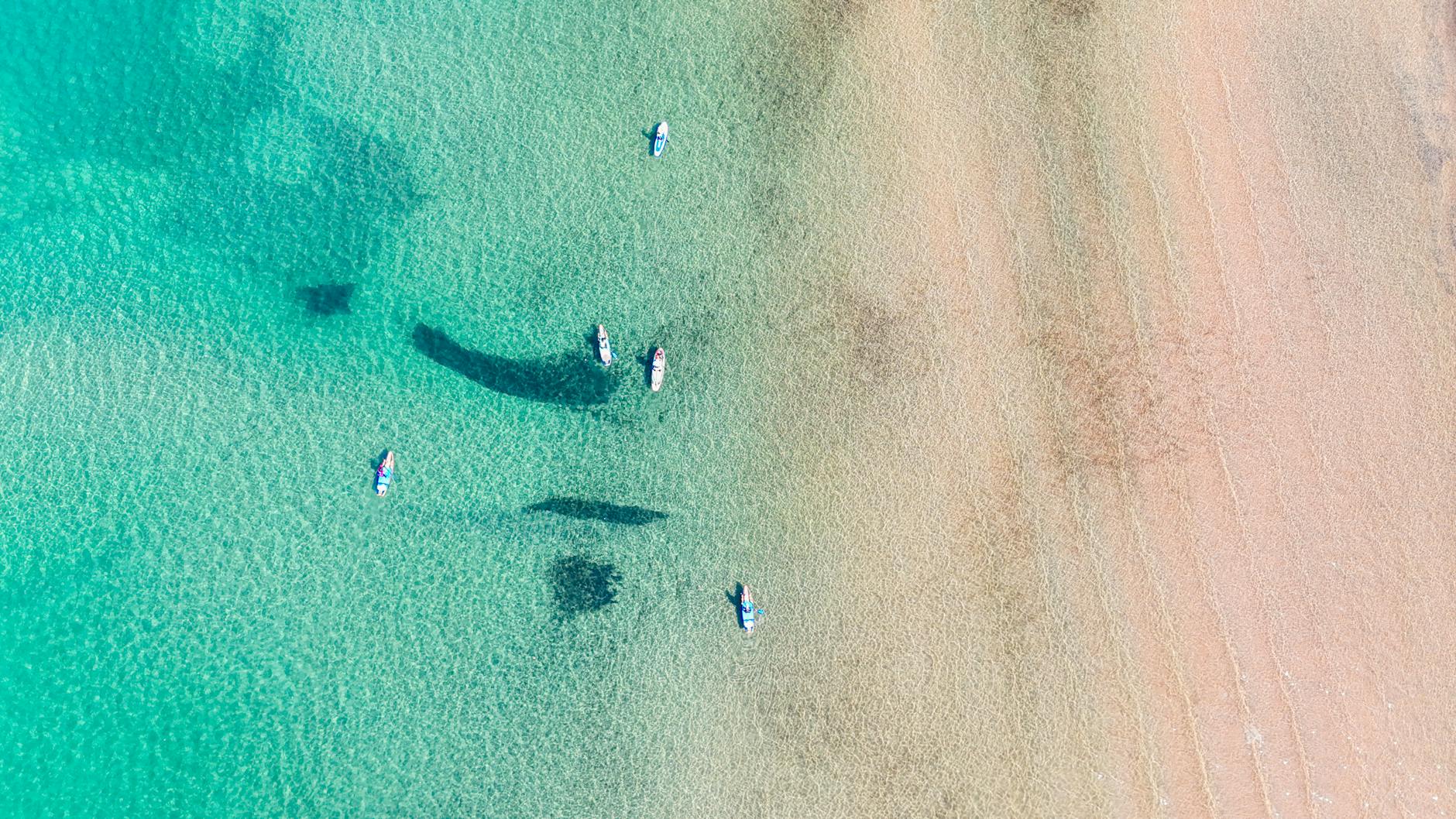 Narrative Compatibility and Tonal Alignment in Crossover Scenarios