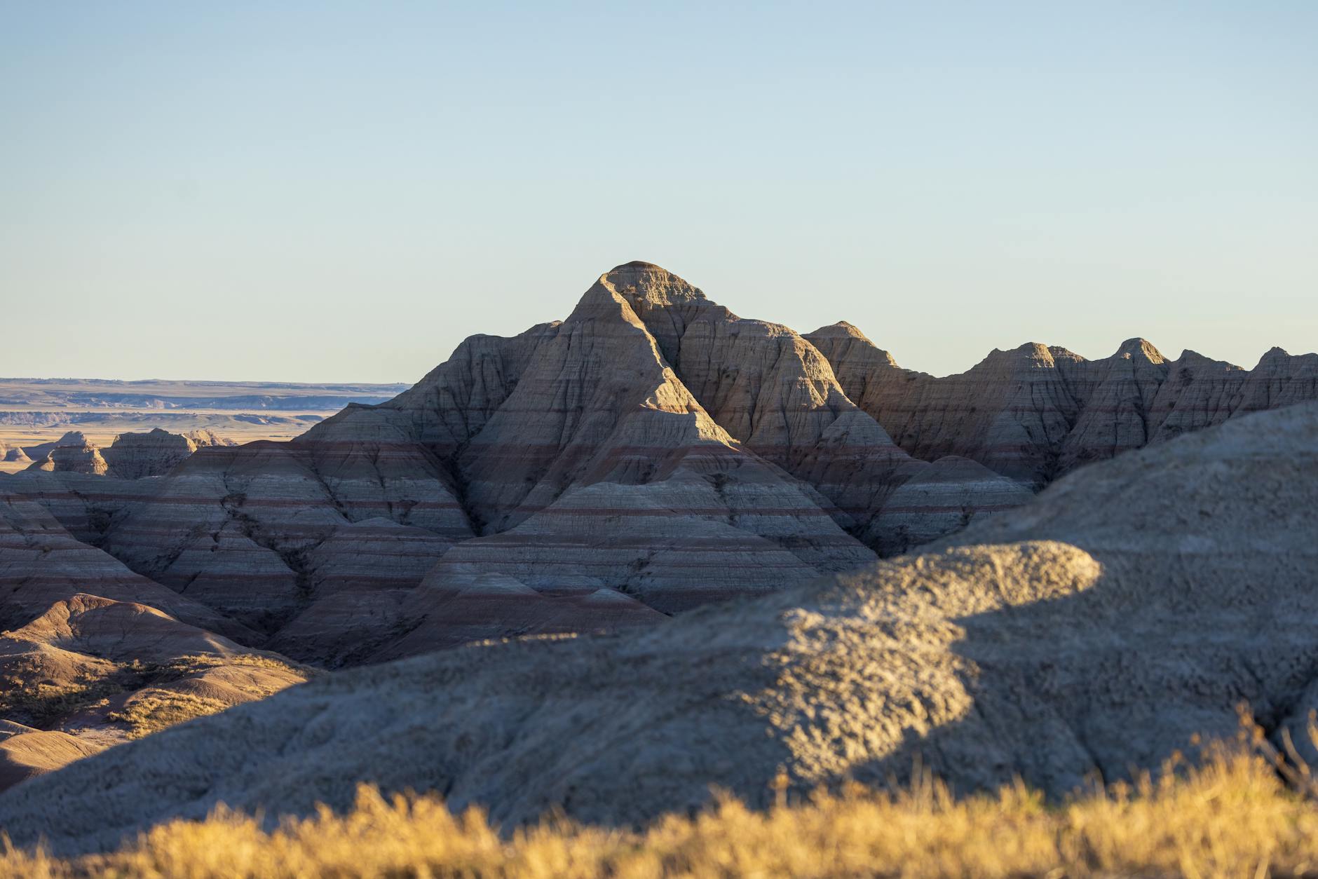 Predator Badlands Age - Predator Badlands Age Rating Explained