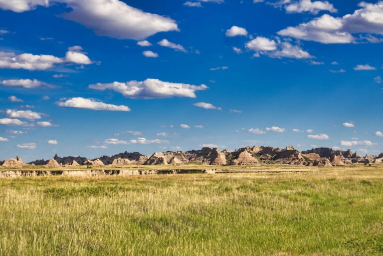 Predator Badlands Parents Guide Explained - Featured image