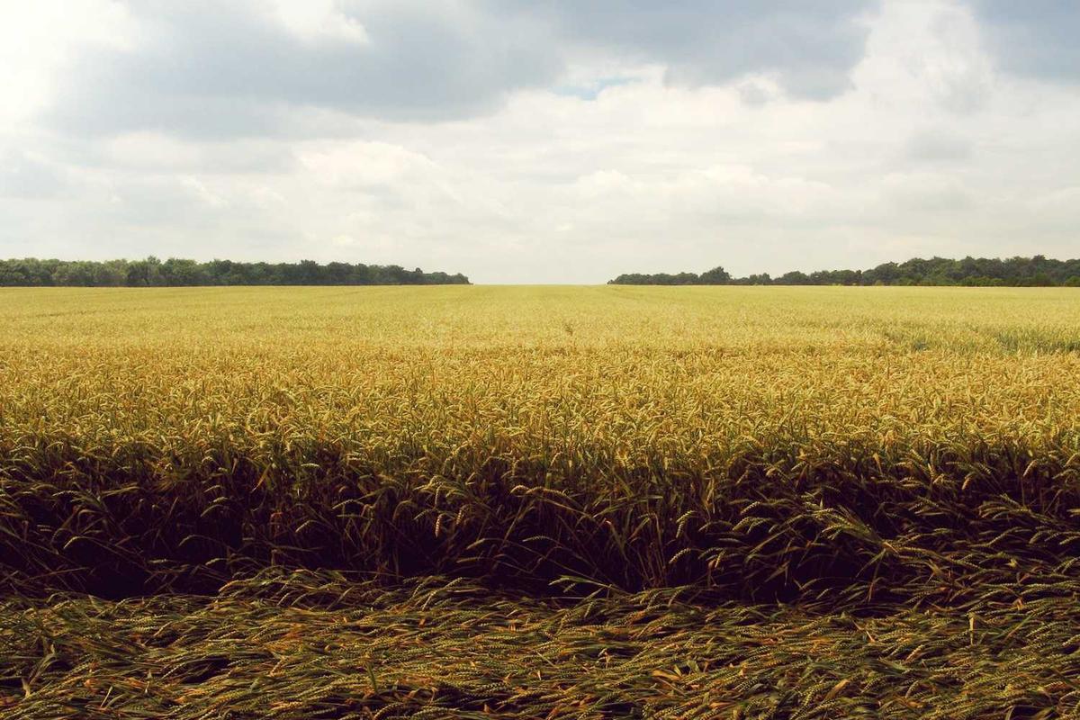 Psychological Horror and Mental Health Themes in Smile 2