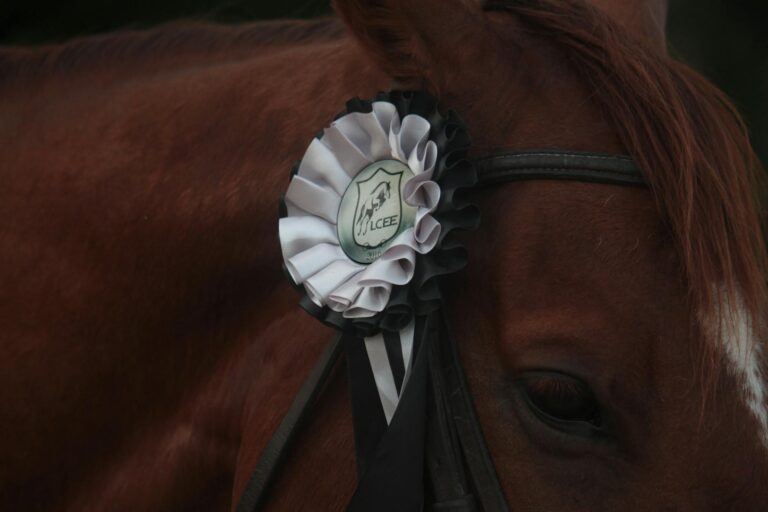 Reviewing films that have won awards for their cinematography - Featured image