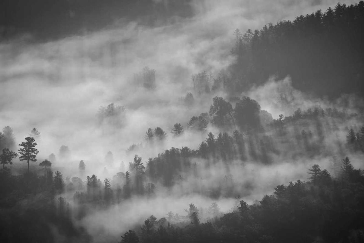 Sexual Content and Nudity Assessment