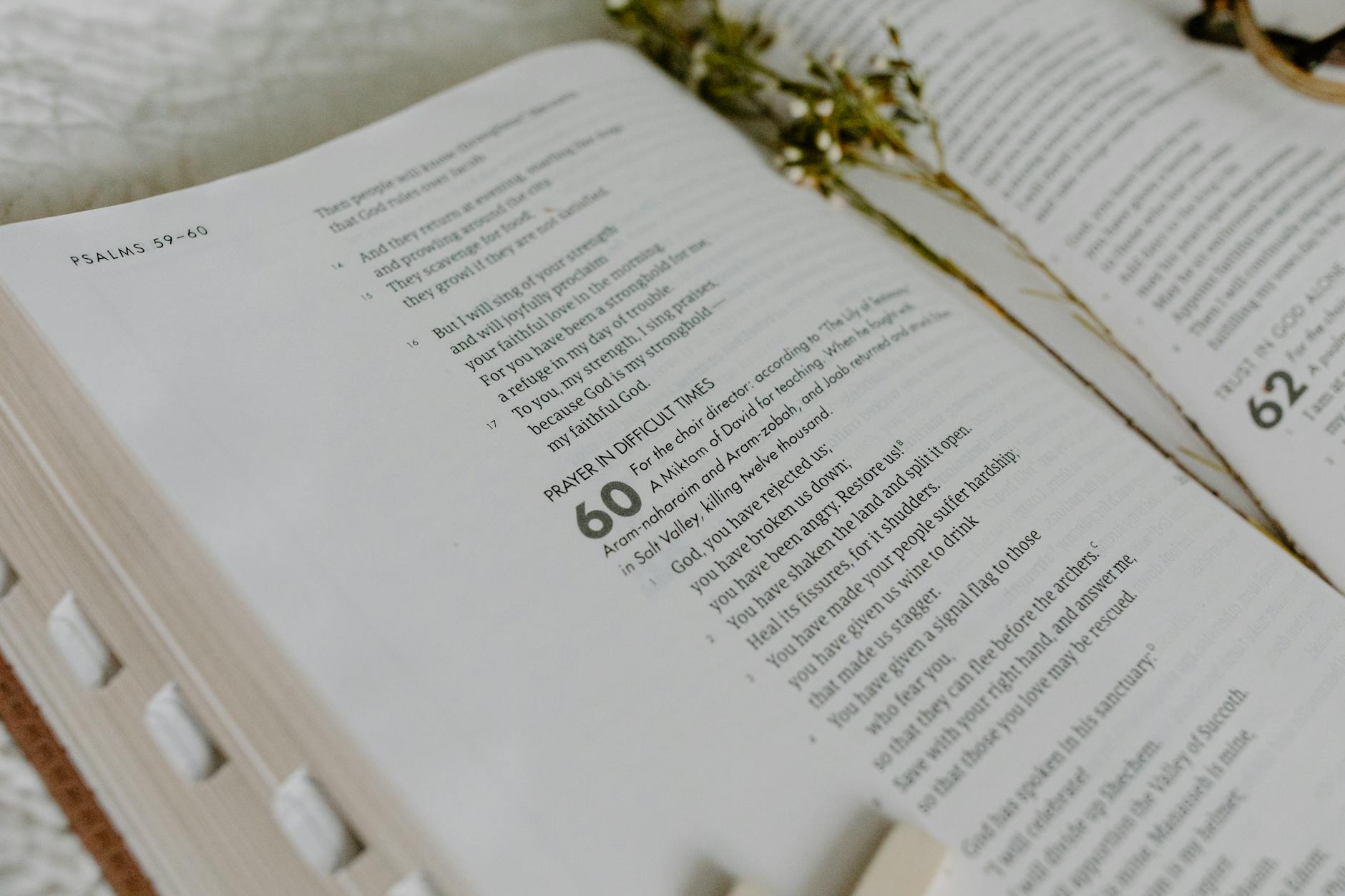 Sexual Content and the Bathsheba Storyline Examined for Parents