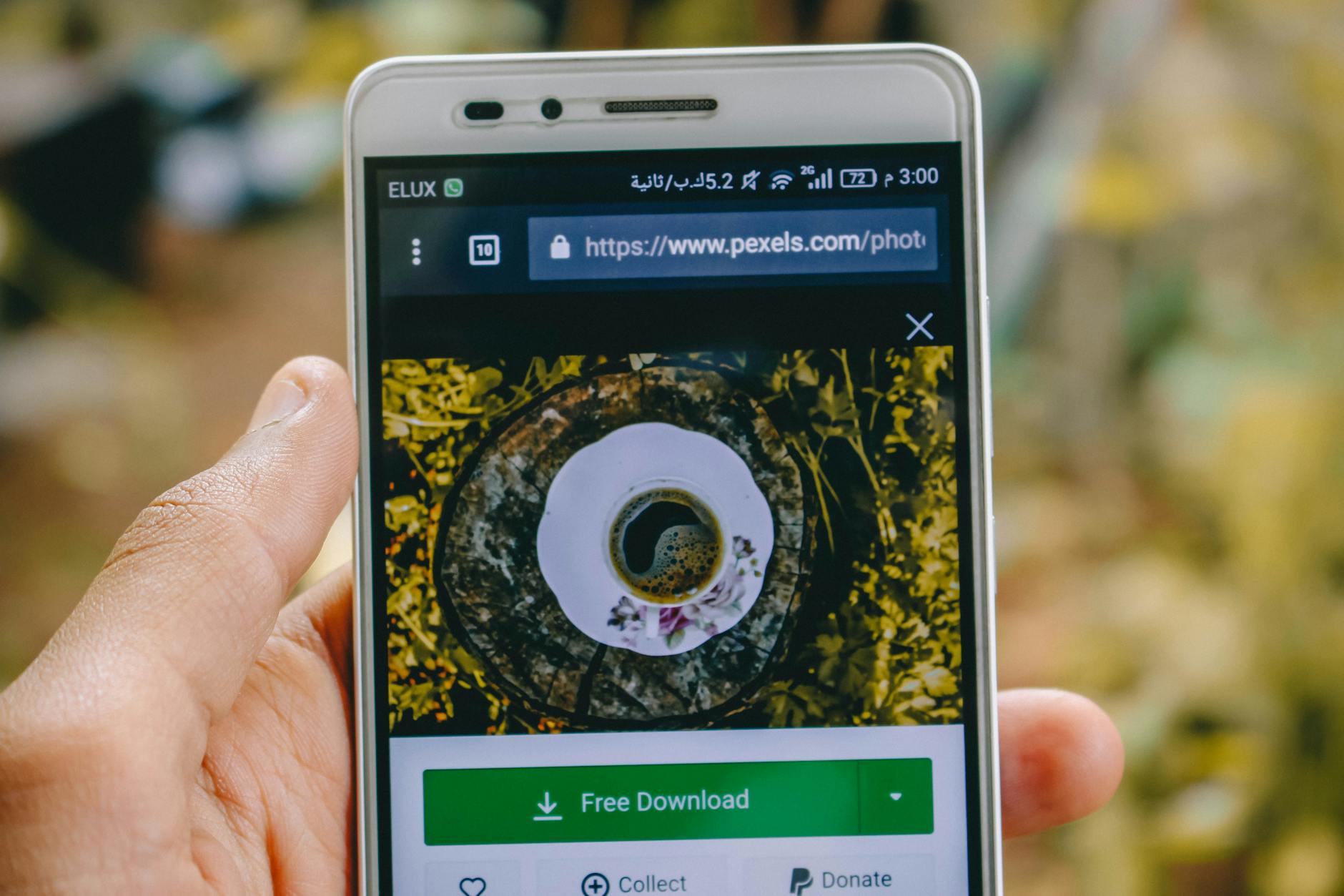 The Impact of Compression on Avatar's Groundbreaking Visual Effects